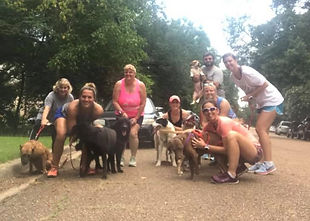 fire hydrant patrol.jpg